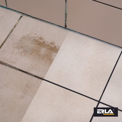 ERLA Saniz Max - profesjonalny, silny odkamieniacz do sanitariatów i łazienek