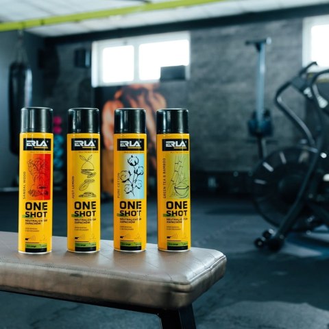 ONE SHOT Sandalwood - profesjonalny neutralizator i odświeżacz powietrza 600 ml
