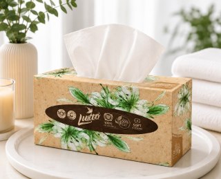Chusteczki Higieniczne Linteo 100 szt 2 Warstwy Kartonik
