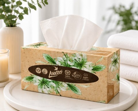 Chusteczki Higieniczne Linteo 100 szt 2 Warstwy Kartonik