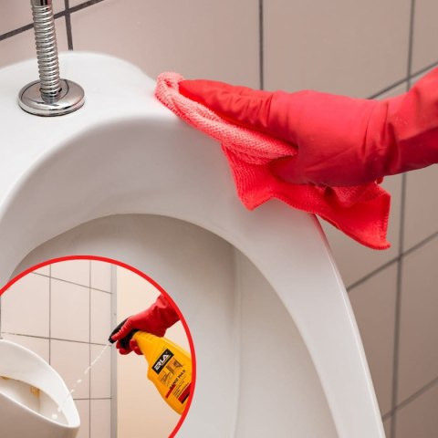 ERLA Saniz Max – profesjonalny, silny odkamieniacz do sanitariatów i łazienek